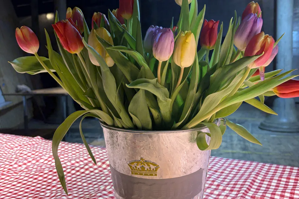 Strauß bunte Tulpen