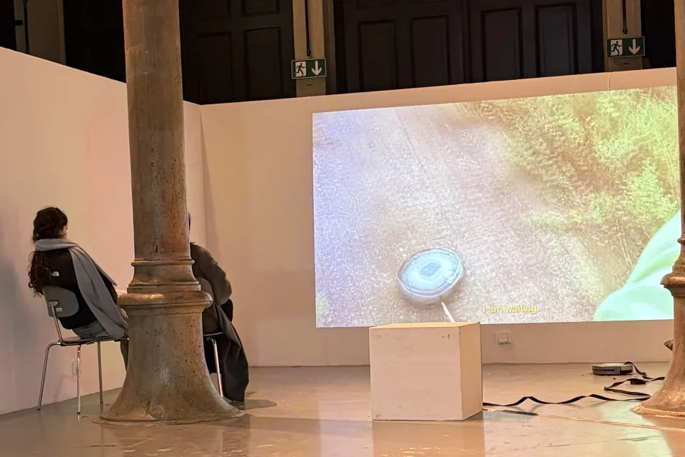 Videoscreening Atelier Lehárgasse